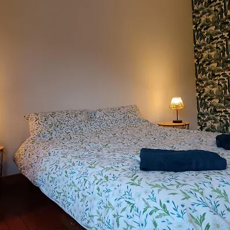 Small Comfortable House